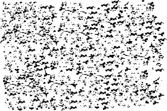 Download Rough Vector Grungy Texture - Grungy texture Collection