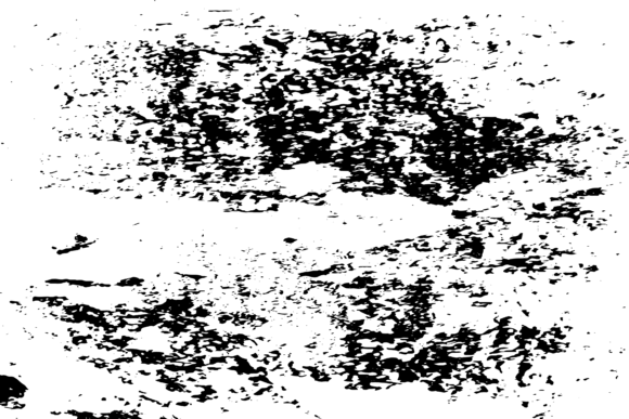 Download Black and White Vector Grungy Texture - Premium Resources